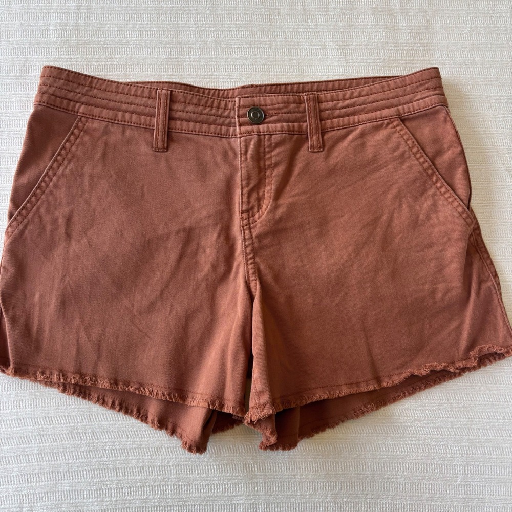 Prana Sancho Raw Hem 4 inch Shorts in Clay Size 2
